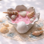 Luxury Seashell Ocean Candle